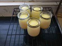 牛奶布丁的做法步骤10