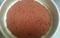 奶酪慕斯蛋糕的做法步骤12