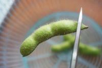 糟毛豆的做法步骤1