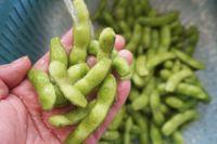 糟毛豆的做法步骤2