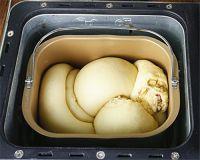 蔓越莓椰香面包的做法步骤12