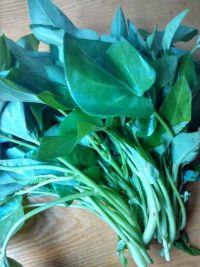 蒜蓉空心菜的做法步骤1