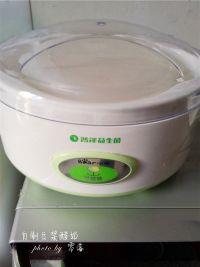 自制豆浆酸奶的做法步骤7