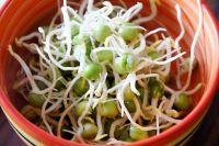 豌豆苗馅水饺的做法步骤2