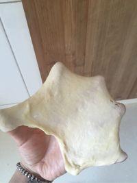 富贵花开的做法步骤2