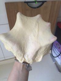 富贵花开的做法步骤3