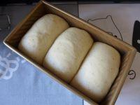 全麦中种白吐司的做法步骤16