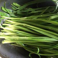 韭菜盒子的做法步骤2