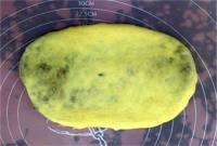豆沙毛毛虫面包的做法步骤7