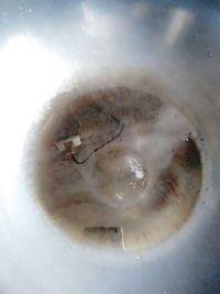 酱拌茄子的做法步骤6