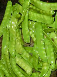 豆荚松板肉的做法步骤5