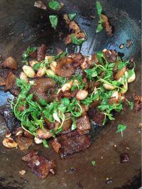 葱瓣儿荆芥炒腊肉的做法步骤9