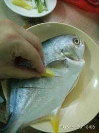 清蒸金枪鱼的做法步骤1